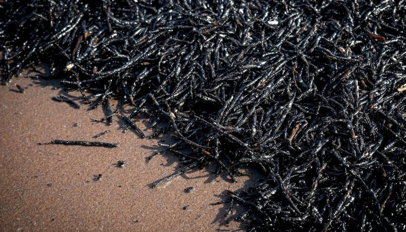 Comment les innovations en matière d'absorbants hydrocarbures améliorent-elles la gestion des déversements ?